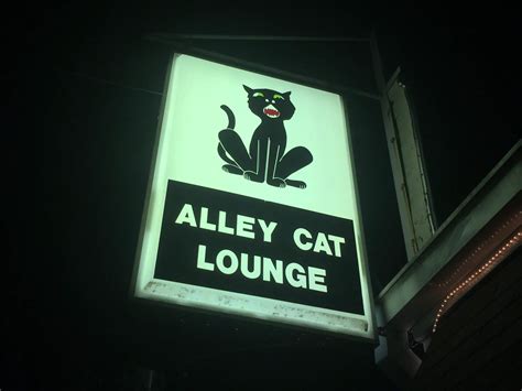 alley cat lounge indianapolis|alley cat lounge scoundrel's.